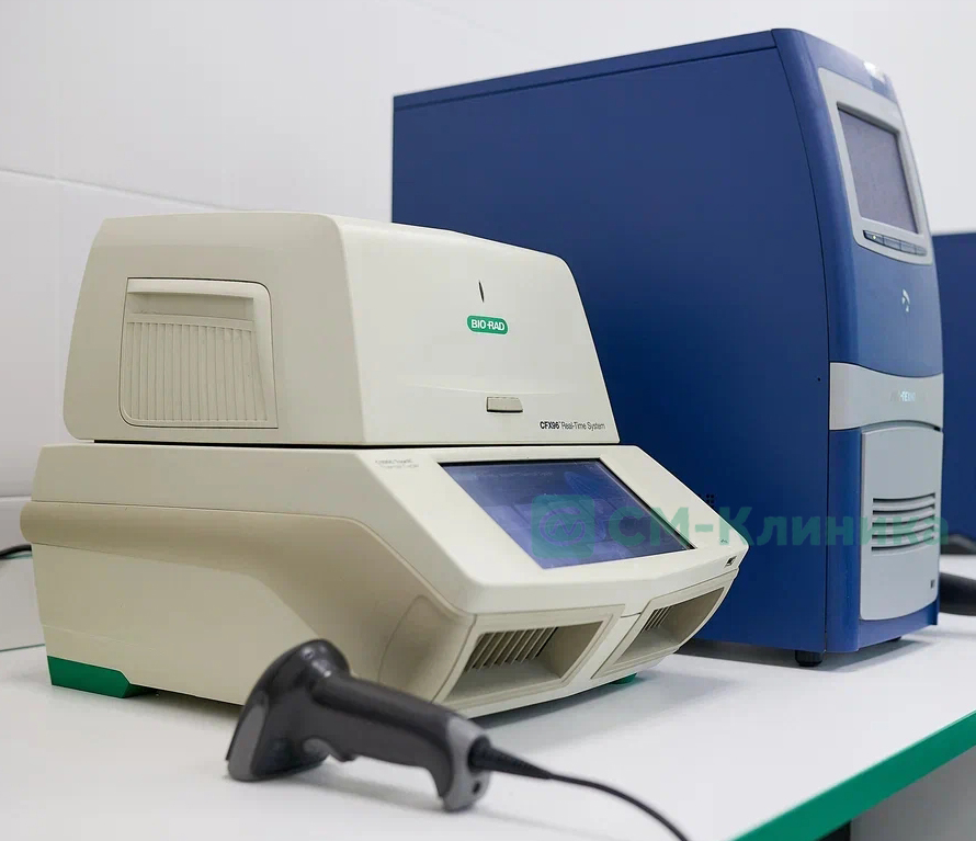 Амплификатор CFX96 Touch