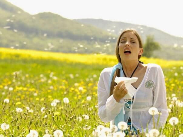 Семь слухов о сезонной аллергии