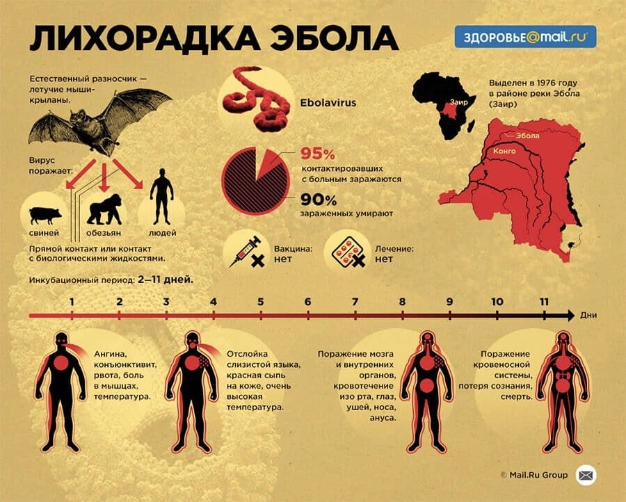 В каком году было поражение. Наиболее вероятный путь передачи лихорадки Эбола. Клинические проявления лихорадки Эбола. Лихорадка Эбола пути передачи. Лихорадка Эбола источник инфекции.