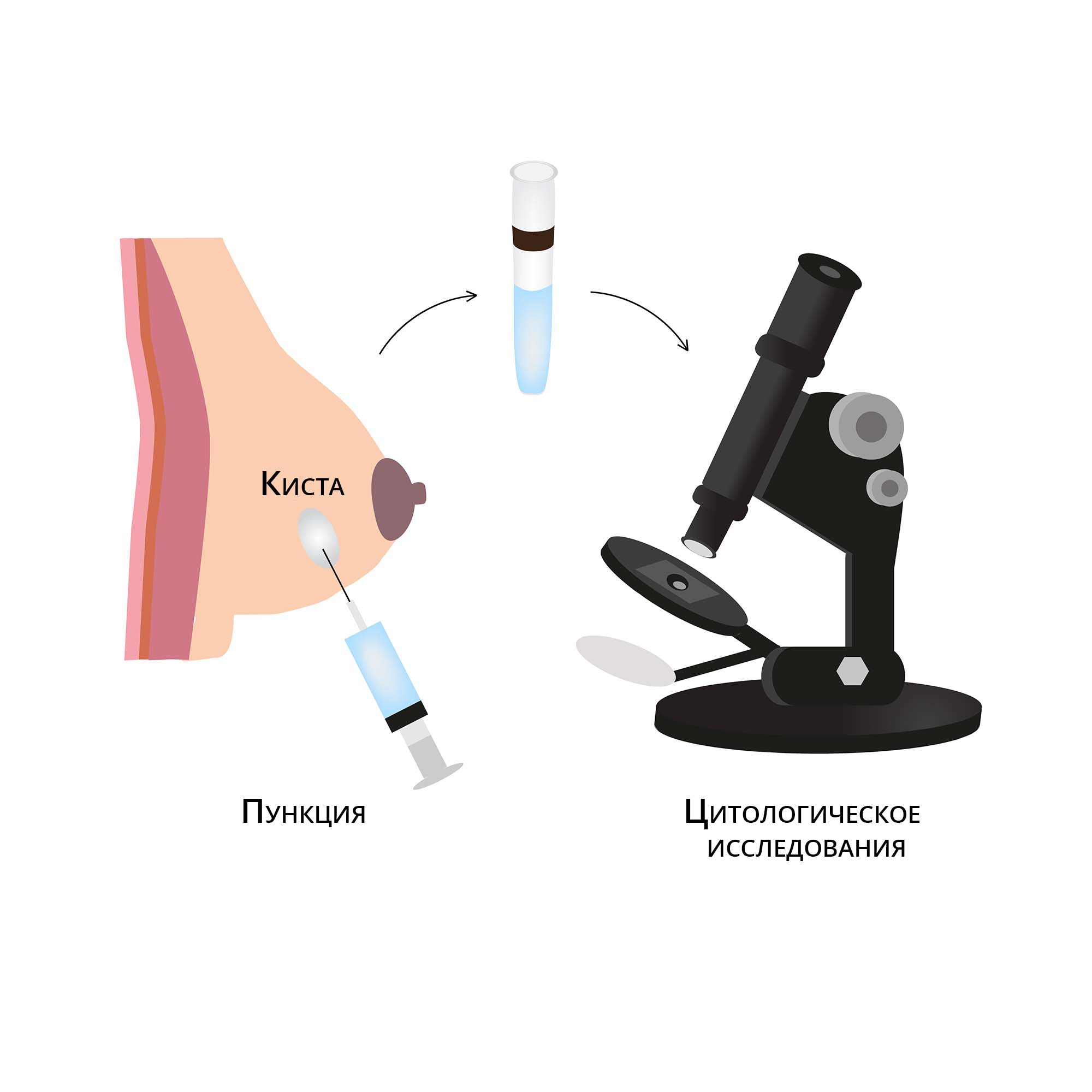 Как проходит исследование