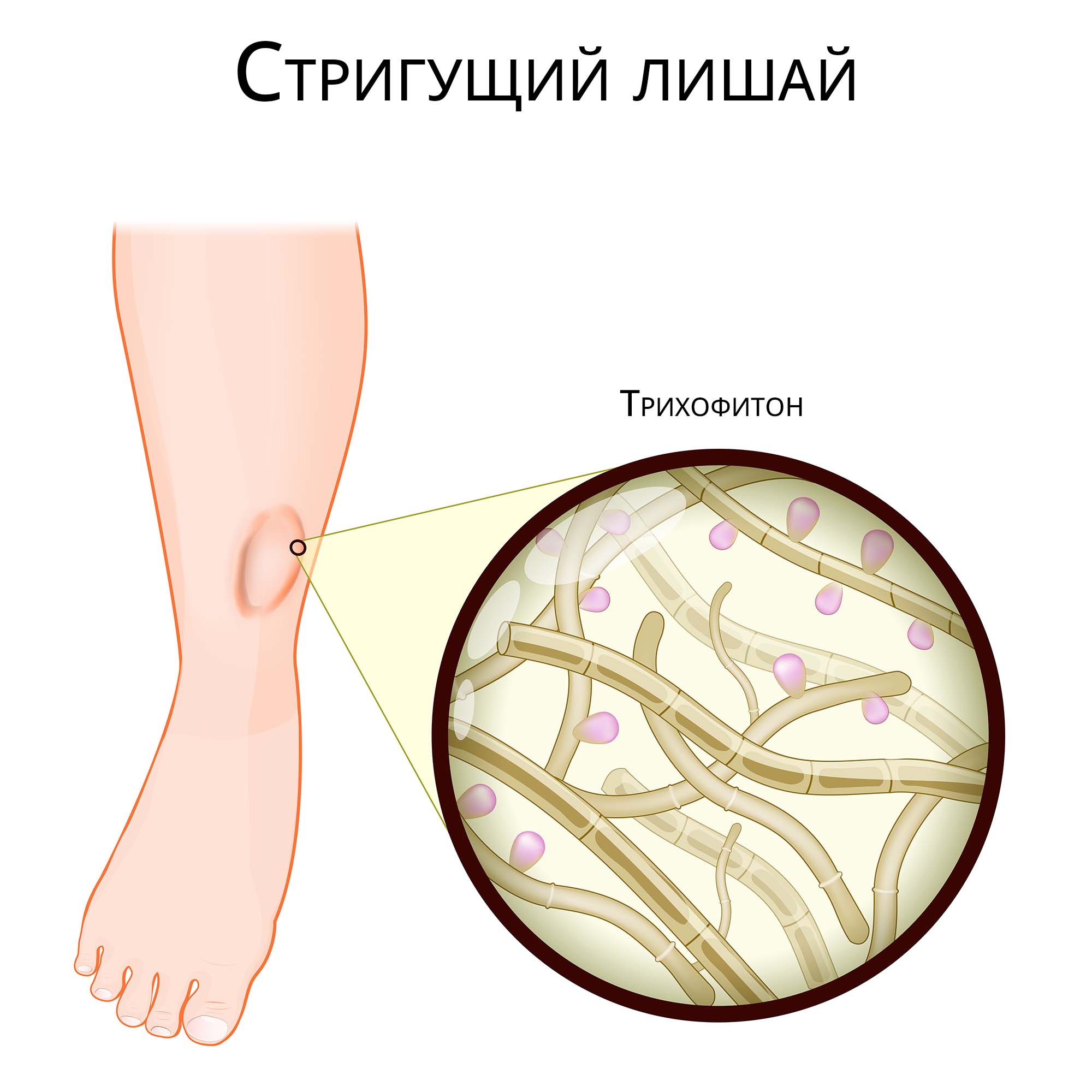 Gif маленького роста пизда 