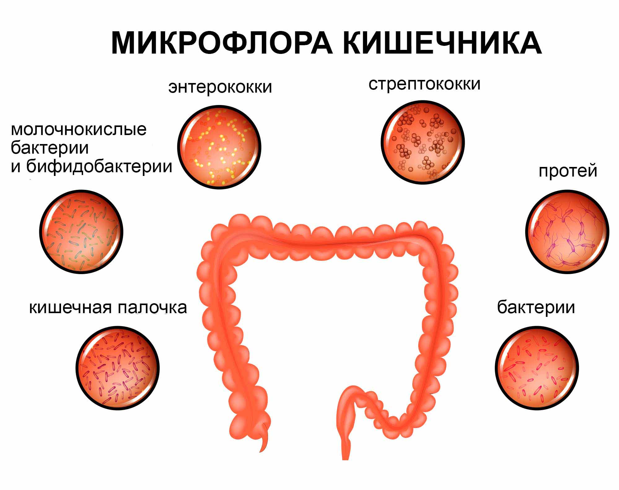 Причины