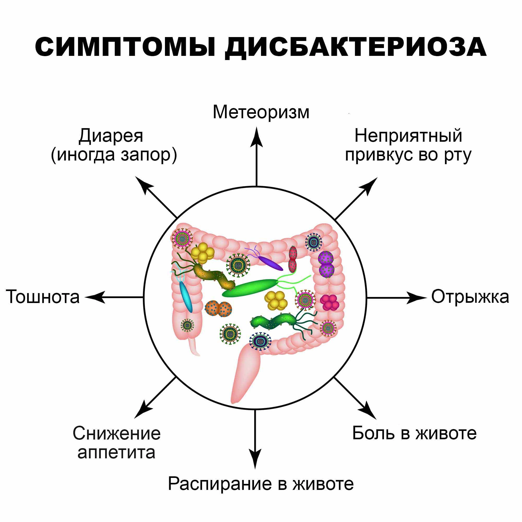 что дает анализ кала на дисбактериоз