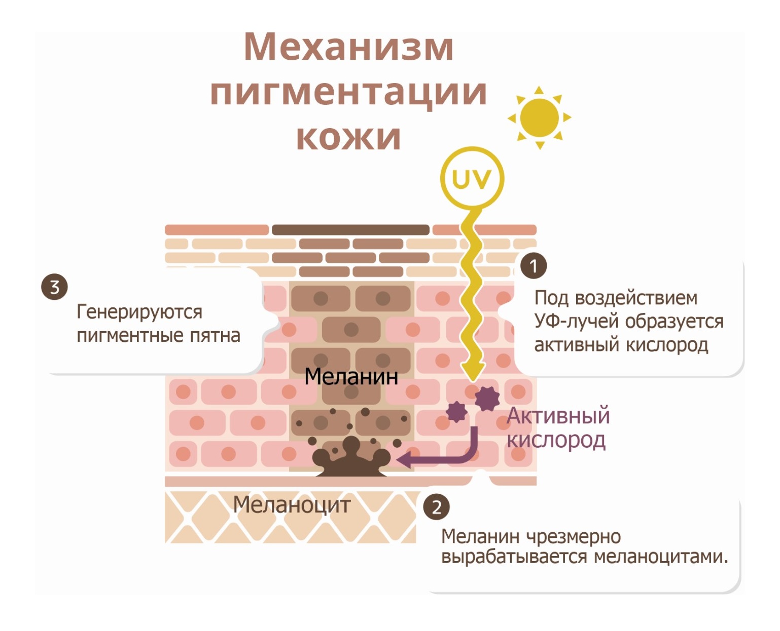 Пигментация кожи