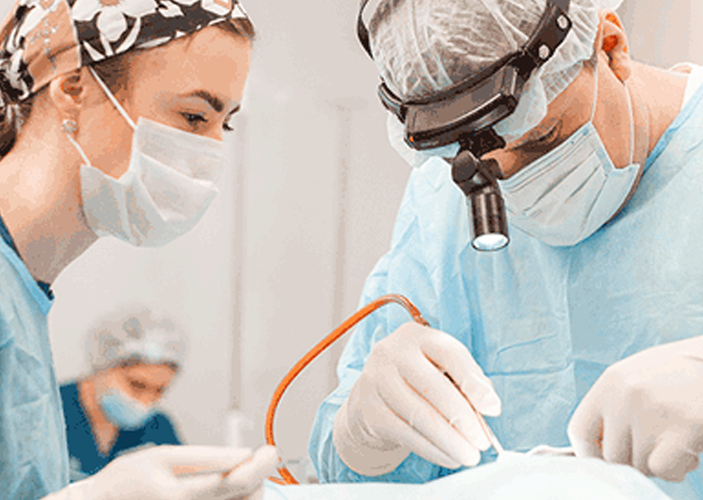 Открыто новое направление: торакальная хирургия