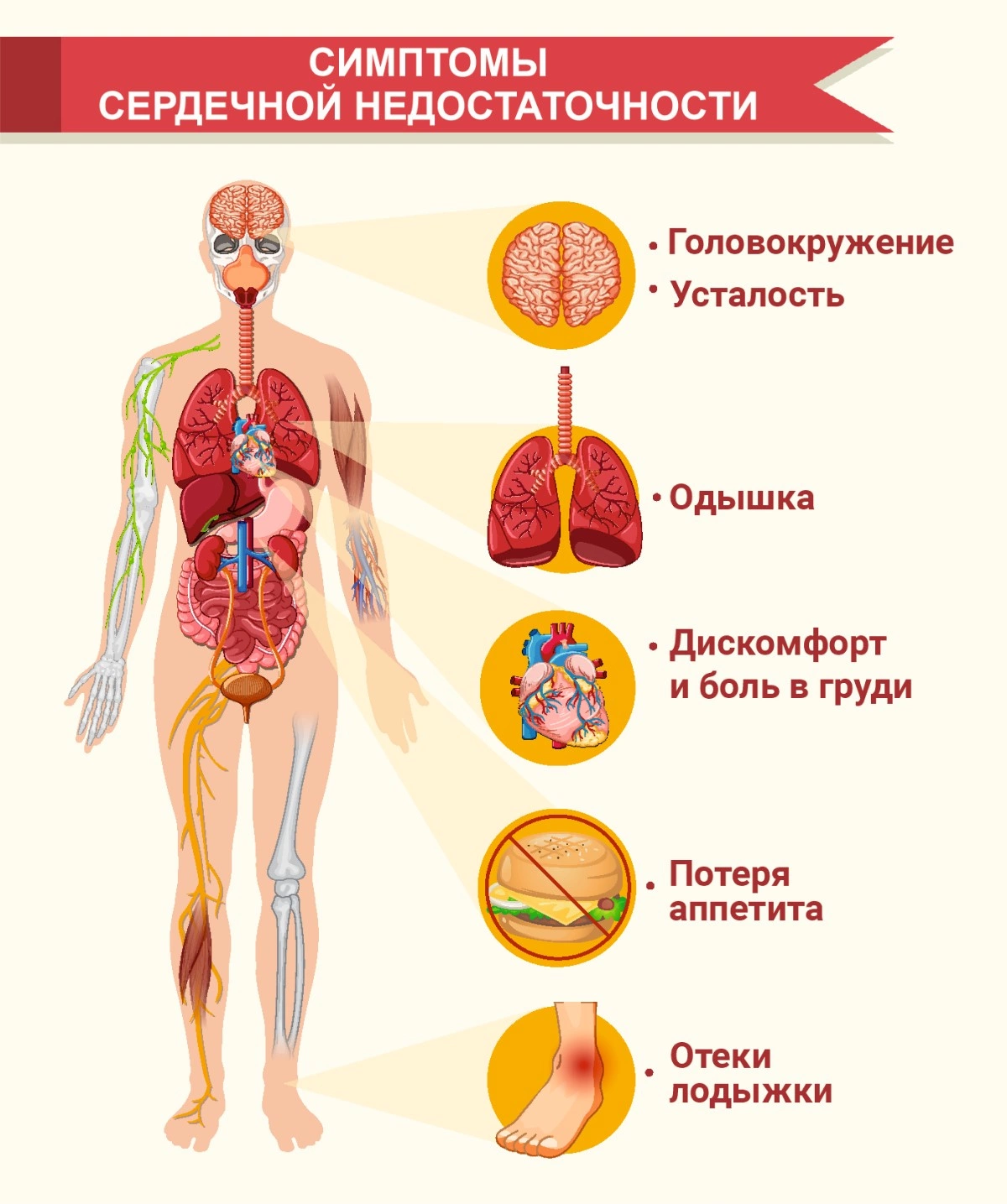 Сердечная недостаточность - симптомы, что это такое, как понять что она у  тебя, признаки